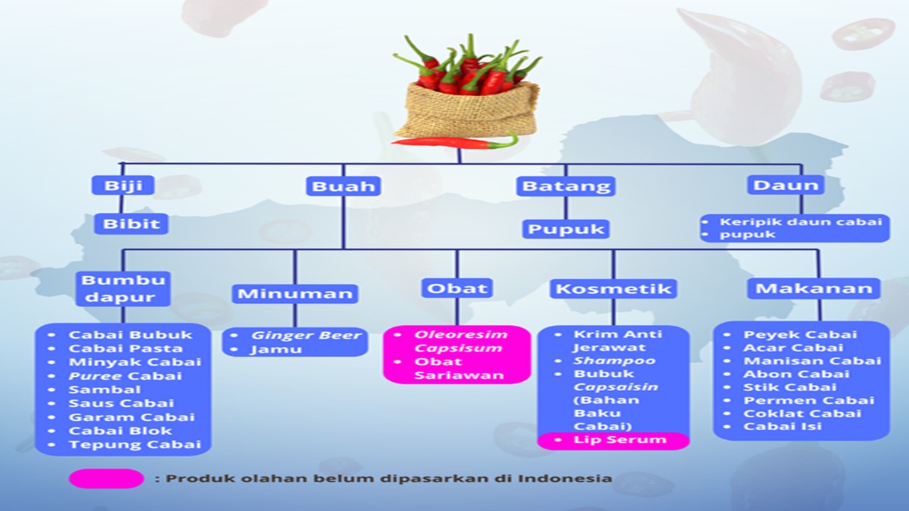 Pusat Studi Ekonomi Keuangan dan Industri Digital